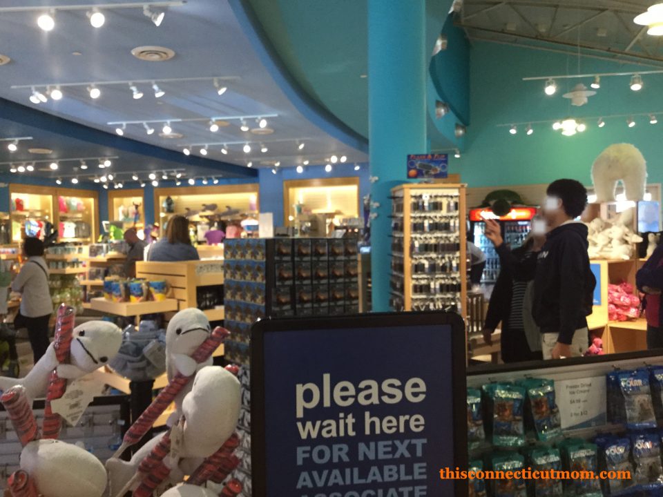 Mystic Aquarium in Connecticut