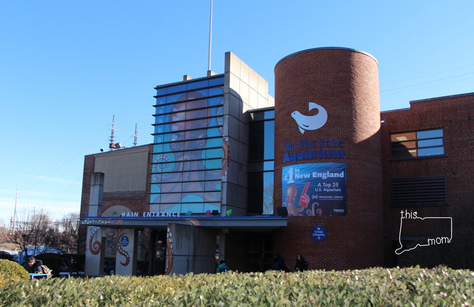 The Maritime Aquarium at Norwalk